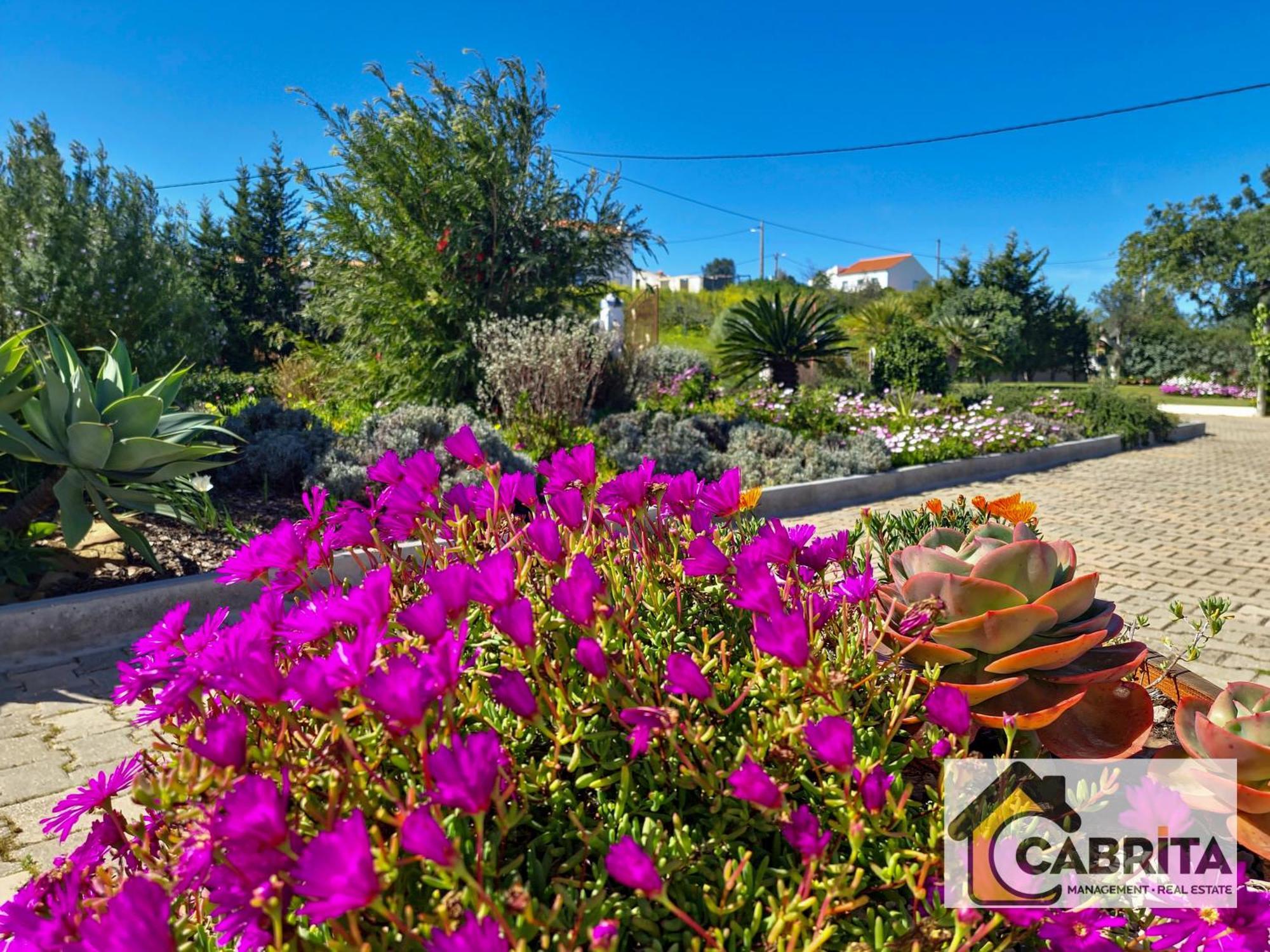 Villa Quinta Dos Medronheiros Altura Exterior foto